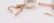14 kt. Rose Gold- 10x11mm Champagne White South Sea - 2