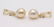 14 kt Yellow Gold - 10x11mm Champagne Golden South Sea - 8