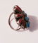 Signed DJ American Indian Zuni Cluster Ring Sterling - 3