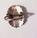 Signed DJ American Indian Zuni Cluster Ring Sterling - 5