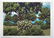 Regula Dettwiler: Baume(Trees) in Summer