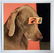 William Wegman: False Eyes 2019