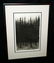 US Frame Aquatint Print Thick Pine Forest