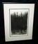 US Frame Aquatint Print Thick Pine Forest - 3