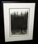 US Frame Aquatint Print Thick Pine Forest - 5
