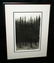 US Frame Aquatint Print Thick Pine Forest - 9
