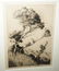 Hawaii Frame Print Lehua Huc M Luquiens - 2