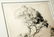 Hawaii Koa Frame Print Lehua Huc M Luquiens - 10