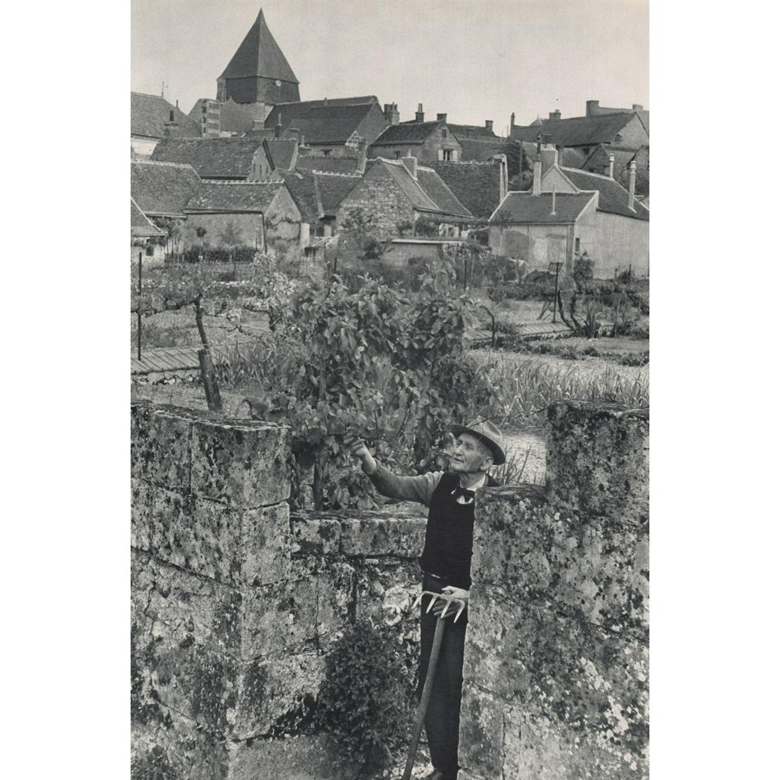 HENRI CARTIER-BRESSON - Orchard in Touraine: Artist: HENRI CARTIER-BRESSON Print Title: Orchard in Touraine, Villandry Medium: Sheet-fed Gravure Printing Date: 1950's Printed in France Image Size approx: 13.5 x 9 inches Henri Cartier-Bresson (19