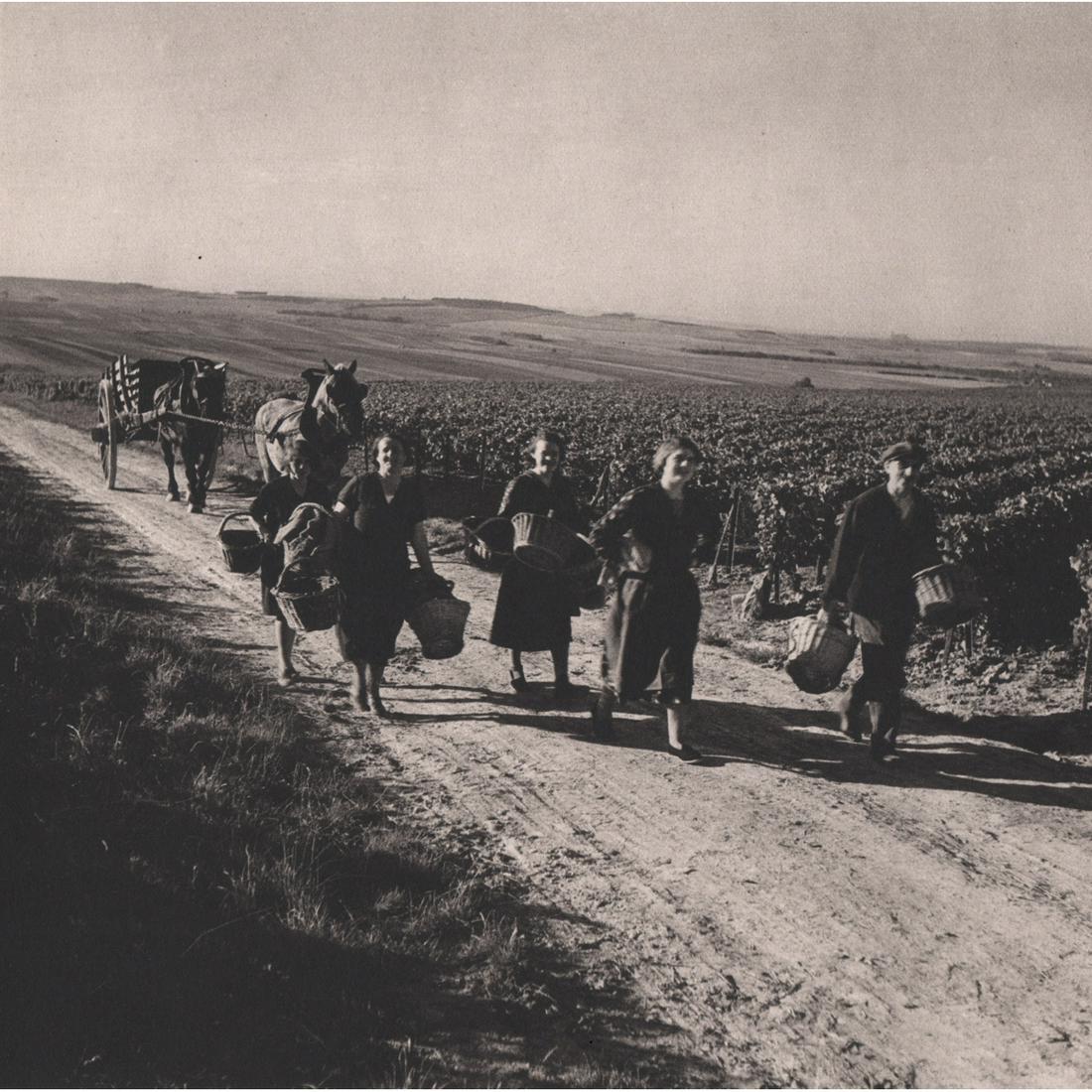 ROGER SCHALL - Les vendanges a Epernay: Artist: ROGER SCHALL Print Title: Les vendanges a Epernay Medium: Sheet-Fed Gravure Printing Date: 1940's Printed in France Image Size approx: 6.5 X 6.5 inches Roger Schall (1904-1995) was a French ph