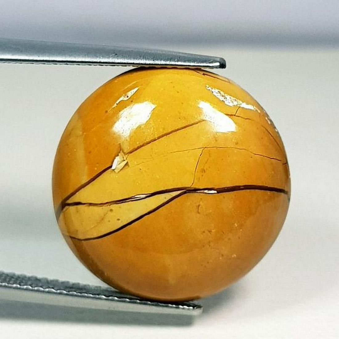 11.70 ct Natural Mookaite: No Reserve! Title: 11.70 ct Natural Mookaite Color/Clarity: Opaque Gemstones: Gemstones Carat Weights: 11.7 Size/Dimensions: 18.50 x 18.50 x 5.80 Additional Information: Round - Africa Shipping: Worl