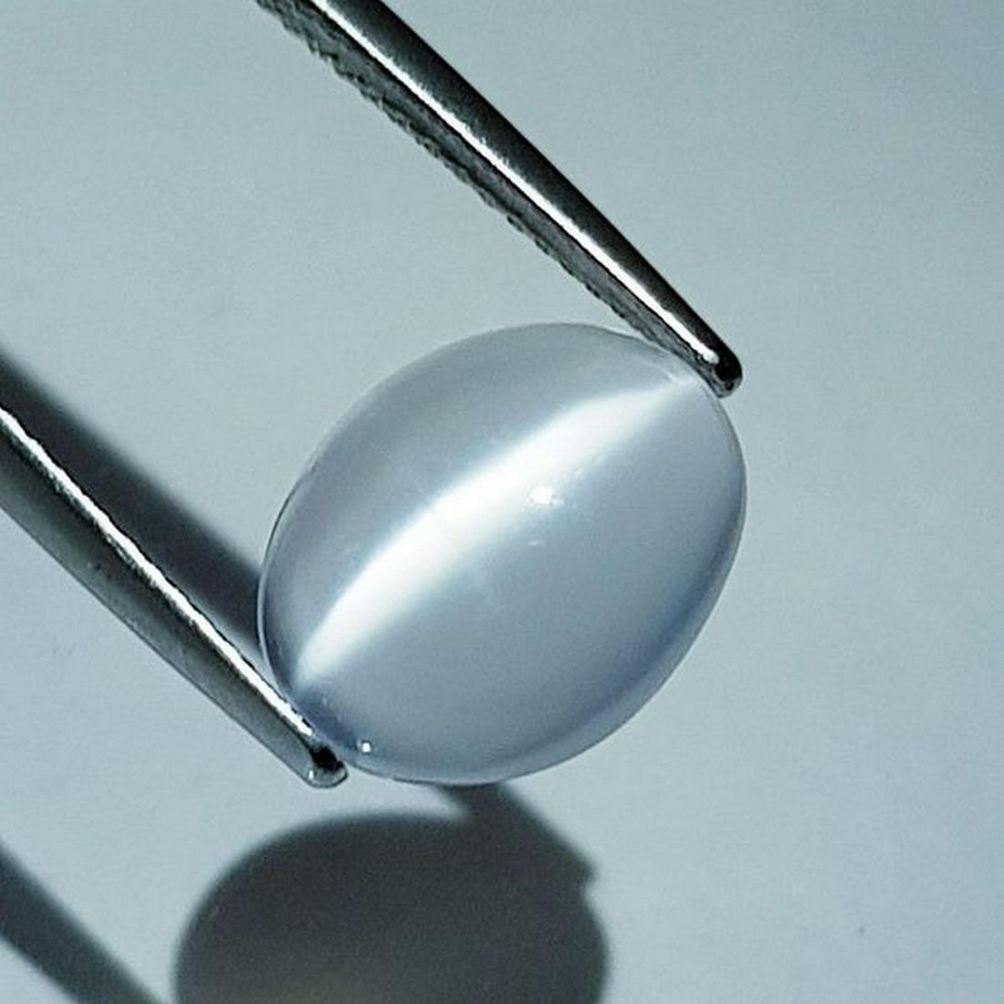 Natural Moonstone Cat's Eye 4.10 ct: No Reserve! Title: Natural Moonstone Cat's Eye 4.10 ct Color/Clarity: VVS Gemstones: Loosegemstone Carat Weights: 4.1 Size/Dimensions: 12.00 x 9.70 x 5.00 Additional Information: Oval - Srilanka Shipp