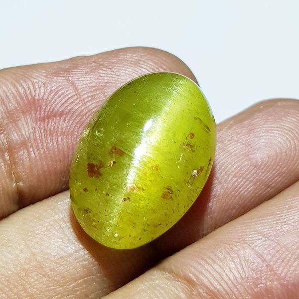 25.56 ct Natural Apatite cat's Eye: No Reserve! Title: 25.56 ct Natural Apatite cat's Eye Color/Clarity: Semi Transparent Gemstones: Loosegemstone Carat Weights: 25.56 Size/Dimensions: 19.80 x 13.60 x 11.10 Additional Information: Oval 
