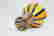 item-85616751=4