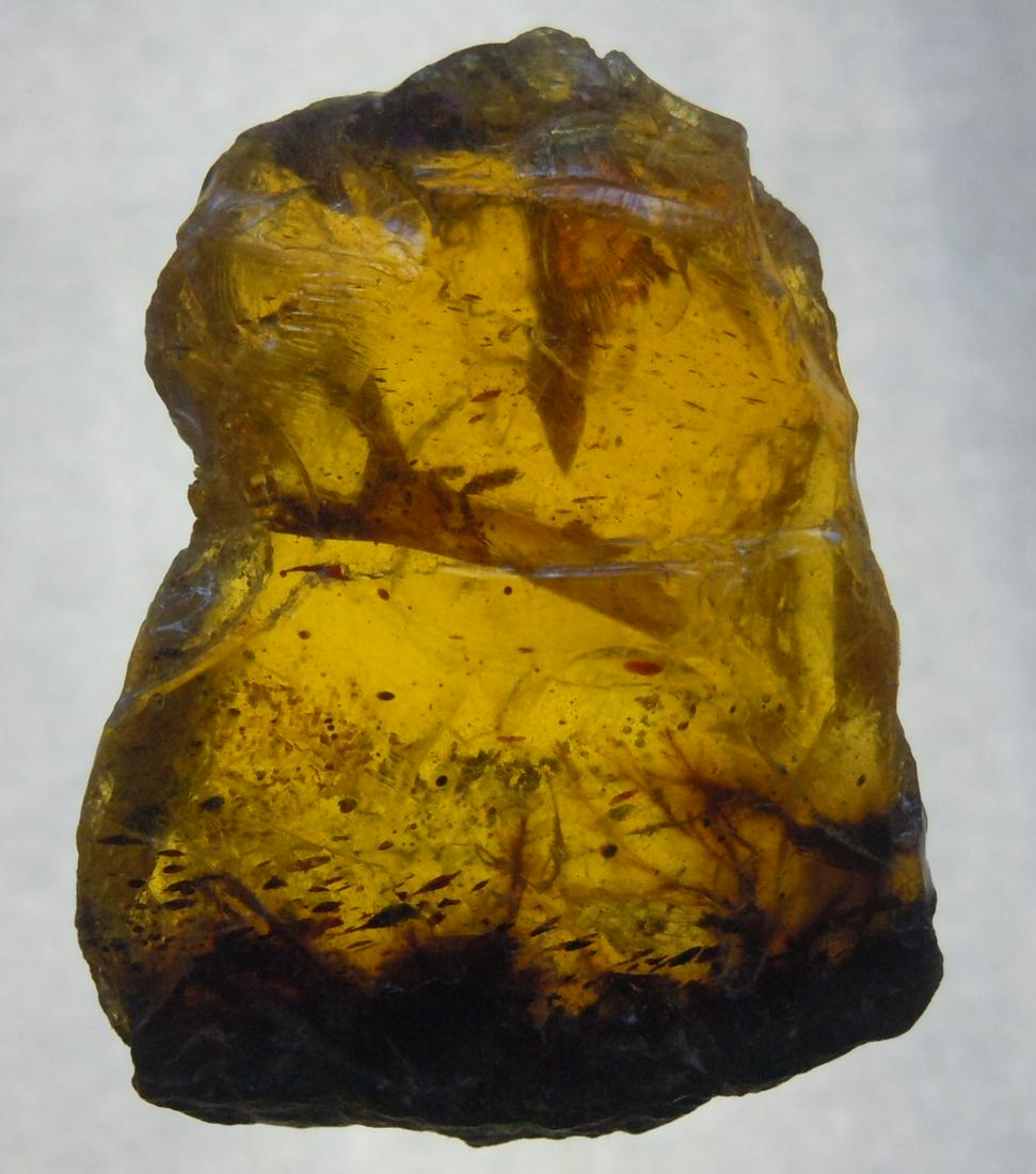 4.21 GRAM 100 MILL YEARS OLD ROUGH BURMITE AMBER: Title: 4.21 GRAM 100 MILL YEARS OLD ROUGH BURMITE AMBER Origin: Hukawang Valley, Kachin State, Myanmar Size: 3.1x2.2x1 cm / 4.21 gram Description: clear yellow rough burmite amber with minor inclusion