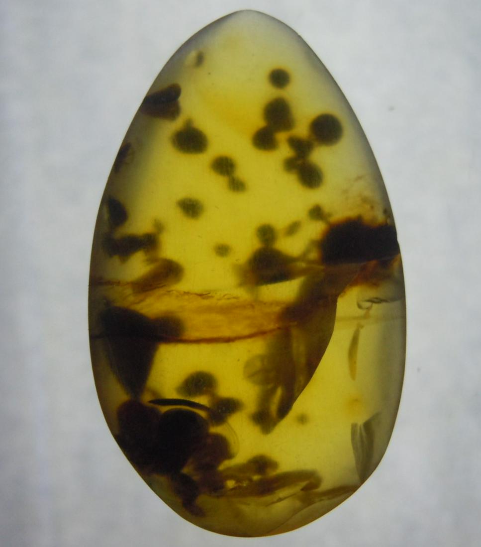 100 MILL YEARS OLD BURMITE AMBER: Title: 100 MILL YEARS OLD BURMITE AMBER Origin: Hukawang Valley, Kachin State, Myanmar Size: 2.5x1.5x0.5 cm / 1.01 gram Description: clear yellow burmite amber with inclusion Reserve: $3.00 Shipping: 