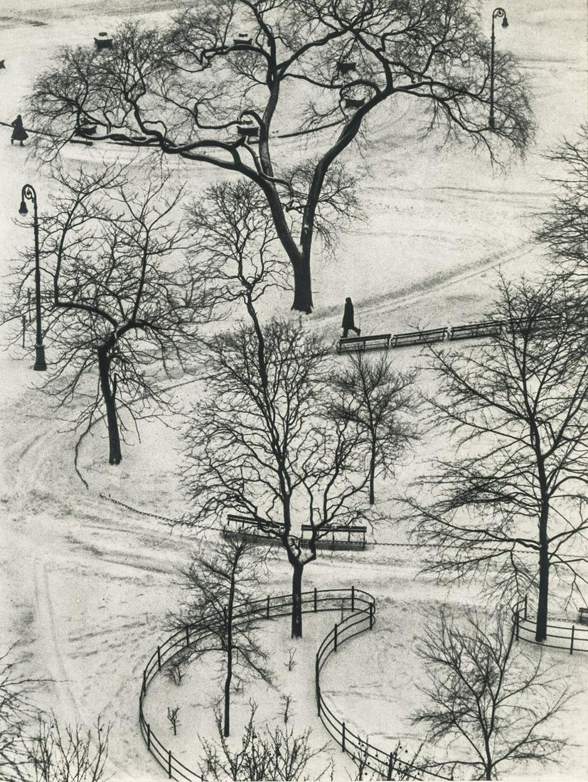 Andre Kertesz, Washington Square, 1954 (1 of 1)