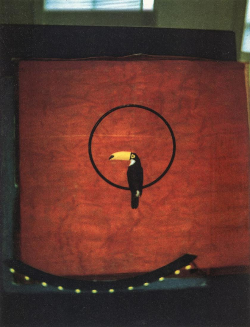 Sarah Moon, Toucan: Artist: Sarah Moon Title: Toucan Medium: Photo Litho, 2001, Italy Dimensions: 7.5x9.8" Additional Information: Heat Wax Mounted on 11x14" Conservation Board Artist Bio: Sarah Moon (1941) previously kn