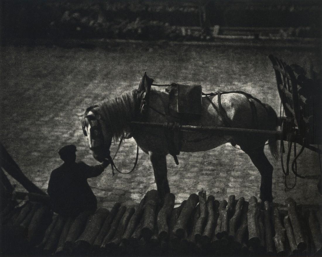 Alfred Stieglitz, Work Horse, Paris, 1911 (1 of 1)