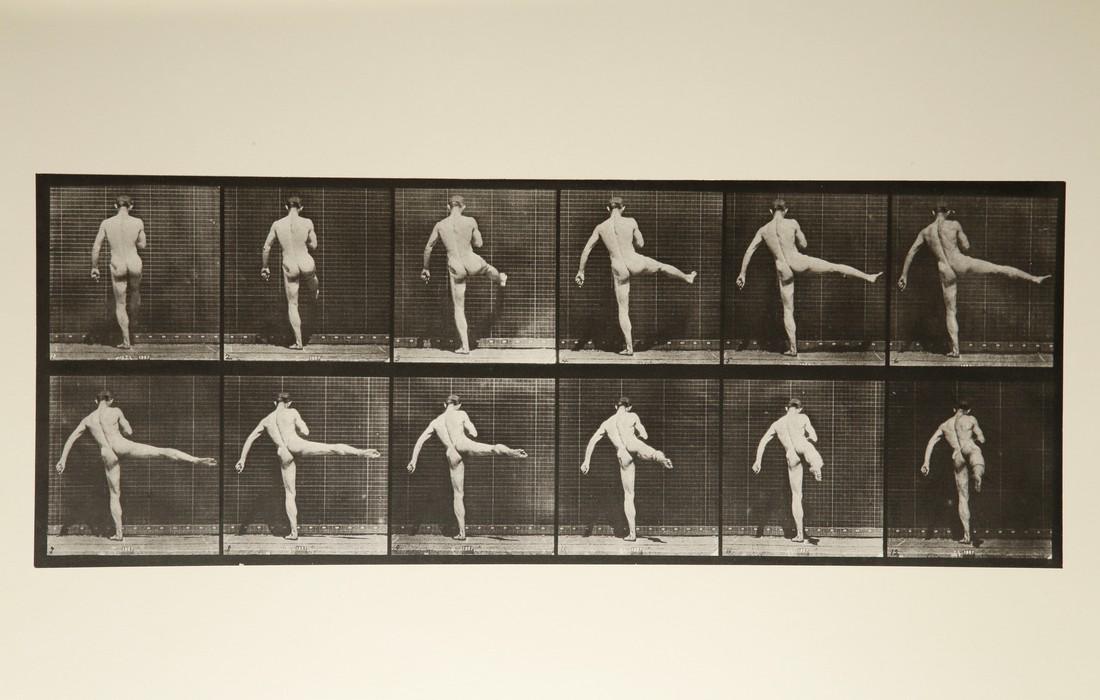 Eadweard Muybridge, Dance Plate A.L. 369 (1 of 1)