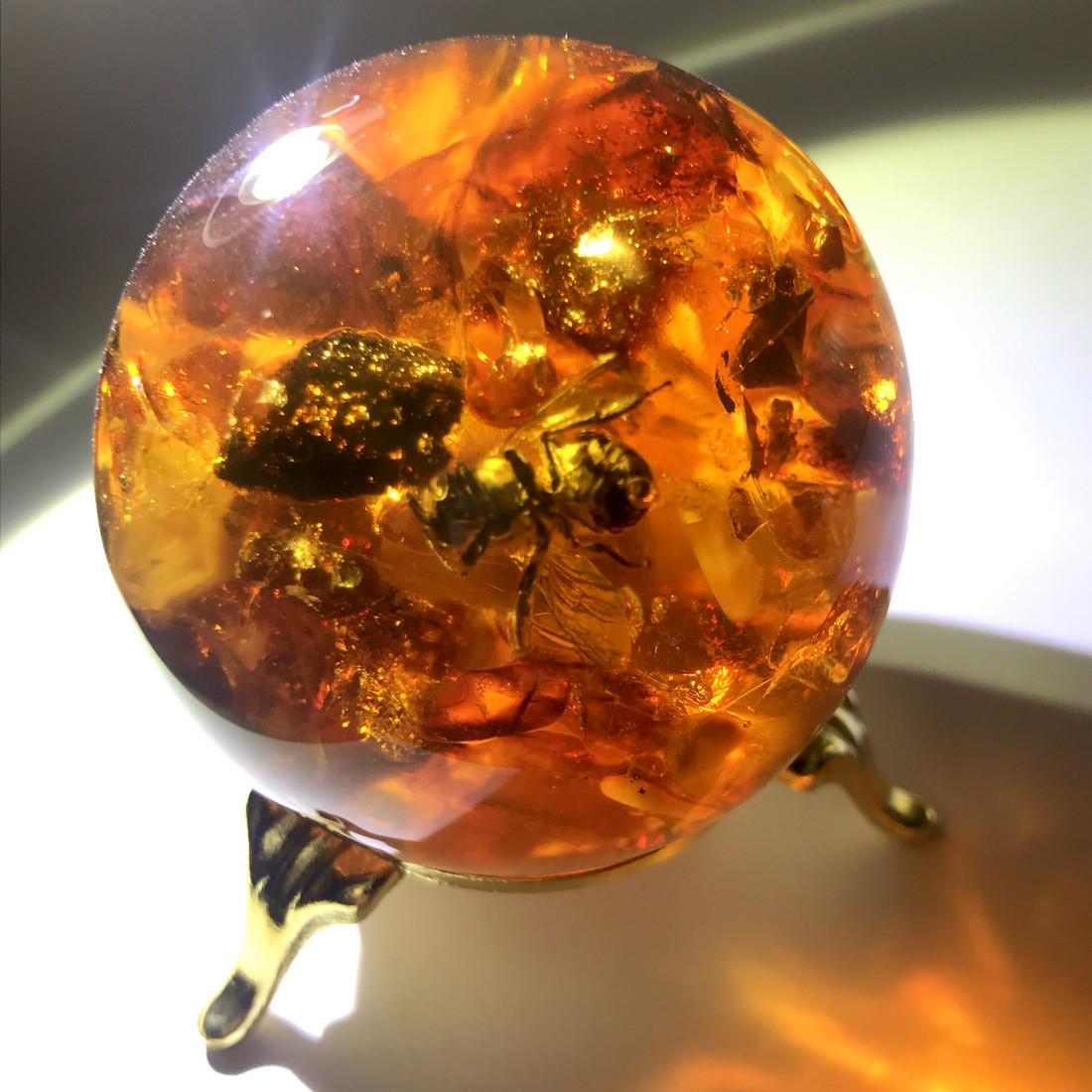 Amber ball with Bee insect inclusion, on the stand (1 of 10)