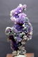 Grape Agate Chalcedony Specimen , Botryoidal Chalcedony