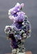 Grape Agate Chalcedony Specimen , Botryoidal Chalcedony - 2