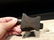 Cast Iron Miniature "Colt 1855" Anvil - 4
