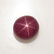 3.57 Ctw Natural Six Line Red Star Ruby Oval Cab