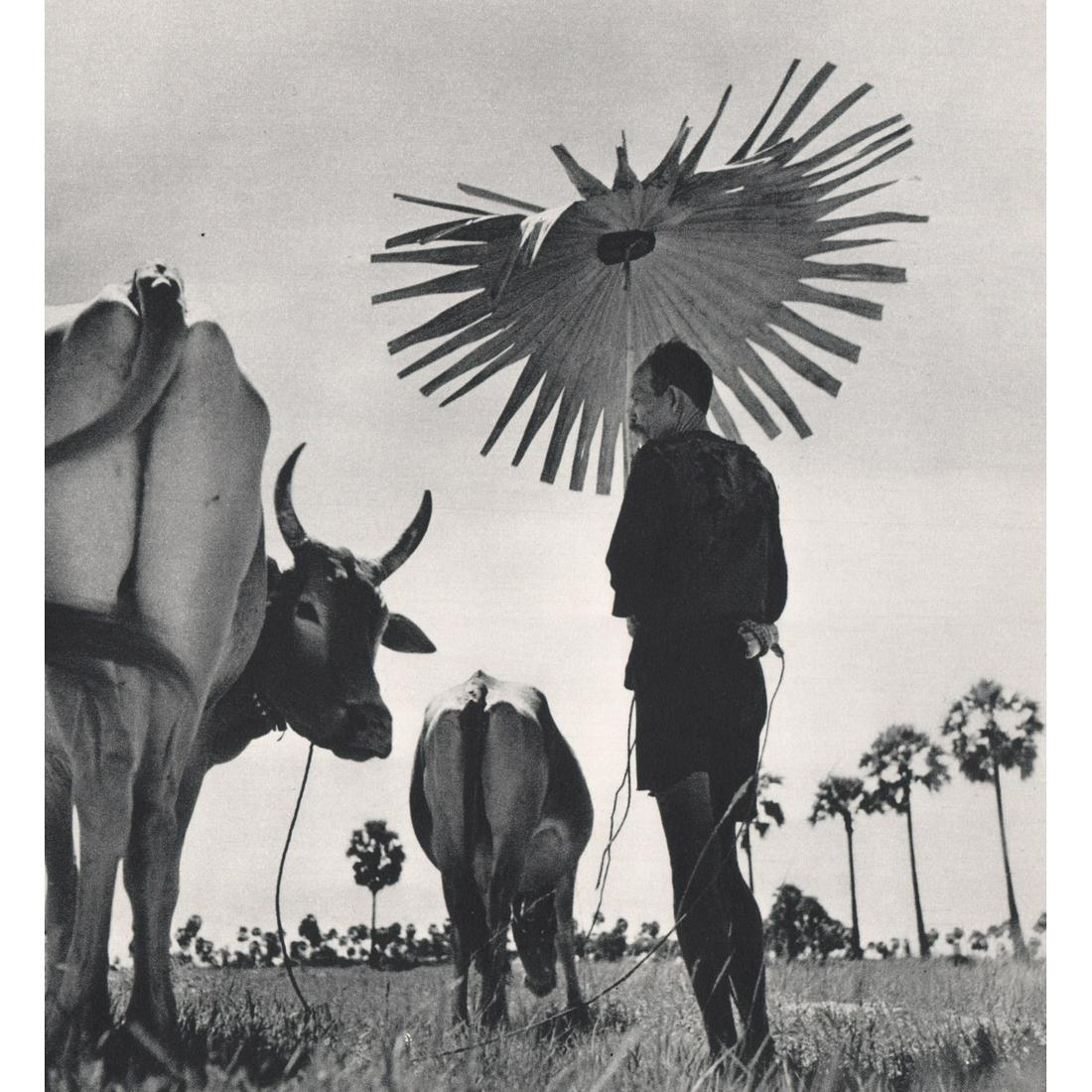 WERNER BISCHOF - Cambodia, 1952: Artist: WERNER BISCHOF Print Title: Cambodia, 1952 Farmer with a palm leaf umbrella Medium: Sheet-fed Gravure Printing Date: 1960's Printed in Holland Image Size: 6.25 x 5.75 inches Werner Bischof (19