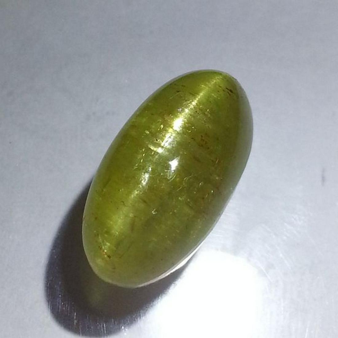 19.69 ct Natural Apatite cat's Eye: No Reserve! Title: 19.69 ct Natural Apatite cat's Eye Color/Clarity: Semi Transparent Gemstones: Loosegemstone Carat Weights:19.69 Size/Dimensions:18.30 x 12.00 x 9.70 Additional Info:Oval - Jharkhand