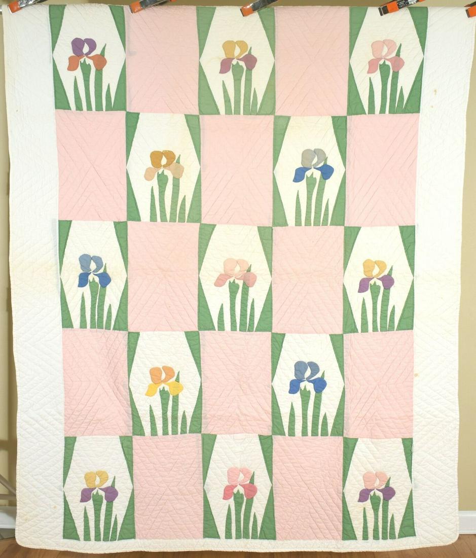 NICELY QUILTED Vintage 30's Mountain Mist Iris Applique (1 of 8)