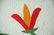 Vintage PRE CIVIL WAR 1850's Red Green & Cheddar Lily - 6