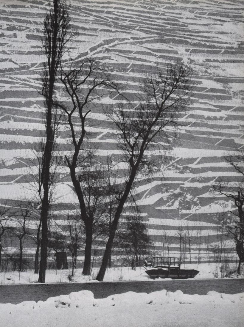 HENRI CARTIER-BRESSON - Winter Design, Bingen, Germany: Artist: HENRI CARTIER-BRESSON Print Title: Winter Design, Bingen, Germany Printing Date: 1950’s Medium: Photoengraving Printed in: the US Image Size: approx. 11 x 8” Henri Cartier-Bresson (August 