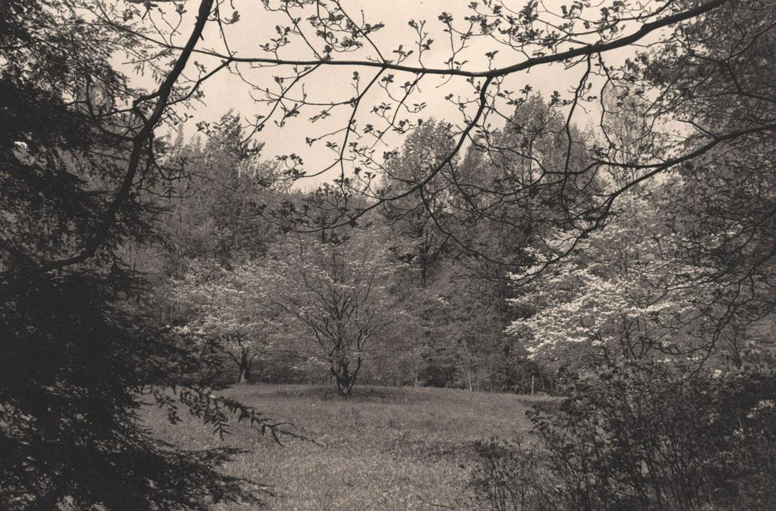 LEE FRIEDLANDER - New York City, 1977: Artist: LEE FRIEDLANDER Print Title: New York City, 1977 Medium: Photoengraving Printed 1980’s in the US Image size (inches) approx. 11 x 7.5” Lee Friedlander is an American photographer and artis