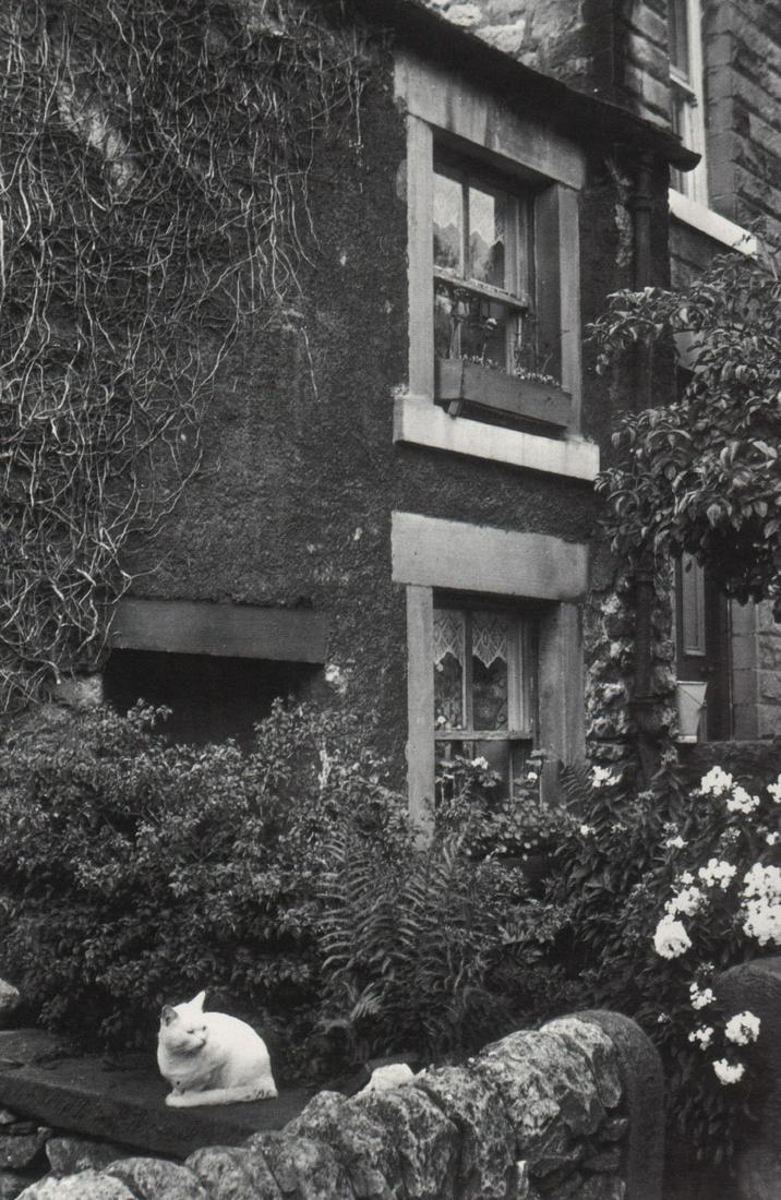 EDWIN SMITH - White Cat, Bonsail, Derbyshire, 1961: Artist: EDWIN SMITH Print Title: White Cat, Bonsail, Derbyshire, 1961 Printing Date: 1970’s Medium: Photoengraving Printed in: The UK Image Size approx: 8.5 x 6” Reserve: $25.00 Shipping: Domestic
