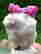 item-86218701=1
