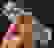 item-86219271=5