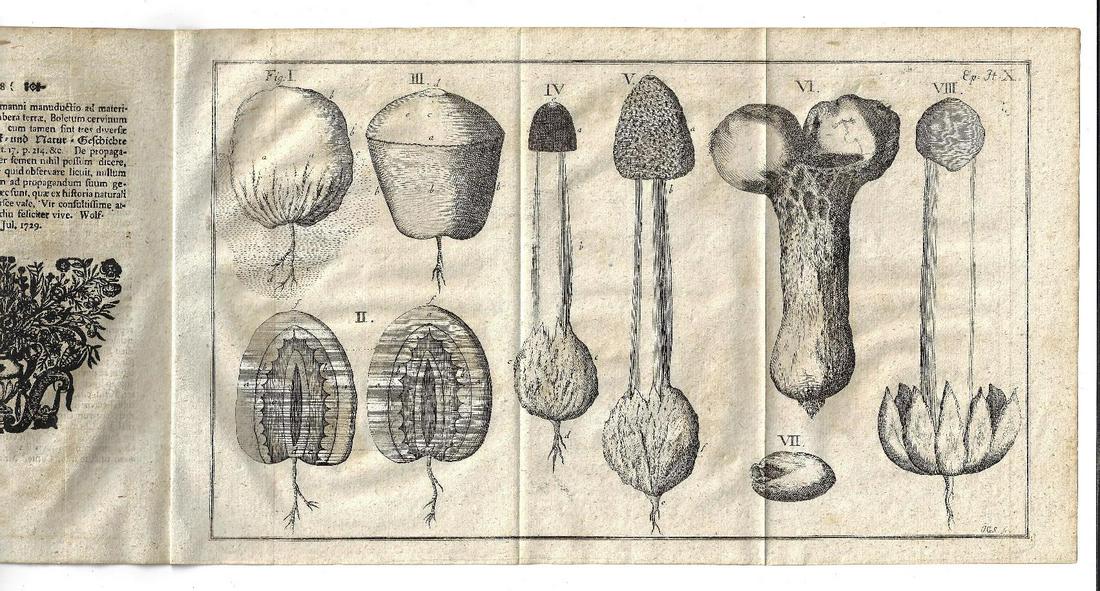 1729 Bruckmann Pamphlet on Fungi Mushrooms (1 of 3)