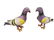Couple of cast iron pigeons - 4