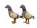 Couple of cast iron pigeons - 5