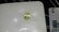 0.78 ct natural certified chrysoberyl