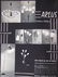 FRENCH Midcentury modernist Chandelier Disderot - 5