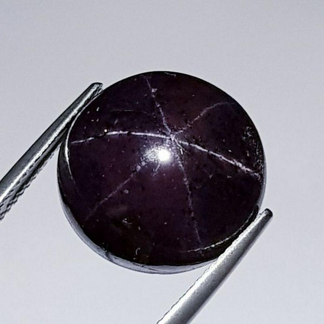 Natural Six Ray Star Garnet 31.57 ct (1 of 5)