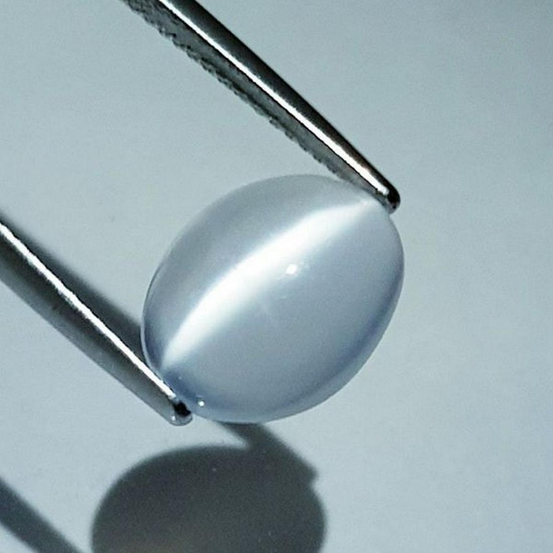 Natural Moonstone Cat's Eye 4.10 ct: No Reserve! Title: Natural Moonstone Cat's Eye 4.10 ct Color/Clarity: VVS Type: Loosegemstone Carat Weight: 4.1 Dimensions: 12.00 x 9.70 x 5.00 Additional Information: Oval - Srilanka Shipping: Do