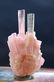 20 Gram Terminated And Undamaged Blue Cap Pink color