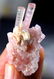 20 Gram Terminated And Undamaged Blue Cap Pink color - 2