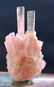 20 Gram Terminated And Undamaged Blue Cap Pink color - 3