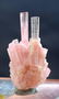 20 Gram Terminated And Undamaged Blue Cap Pink color - 4