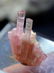 20 Gram Terminated And Undamaged Blue Cap Pink color - 6
